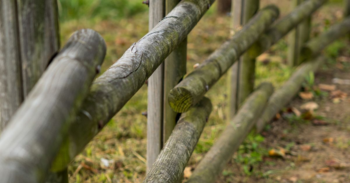 Advantages of Using Softwood Fencing in Geelong Homes