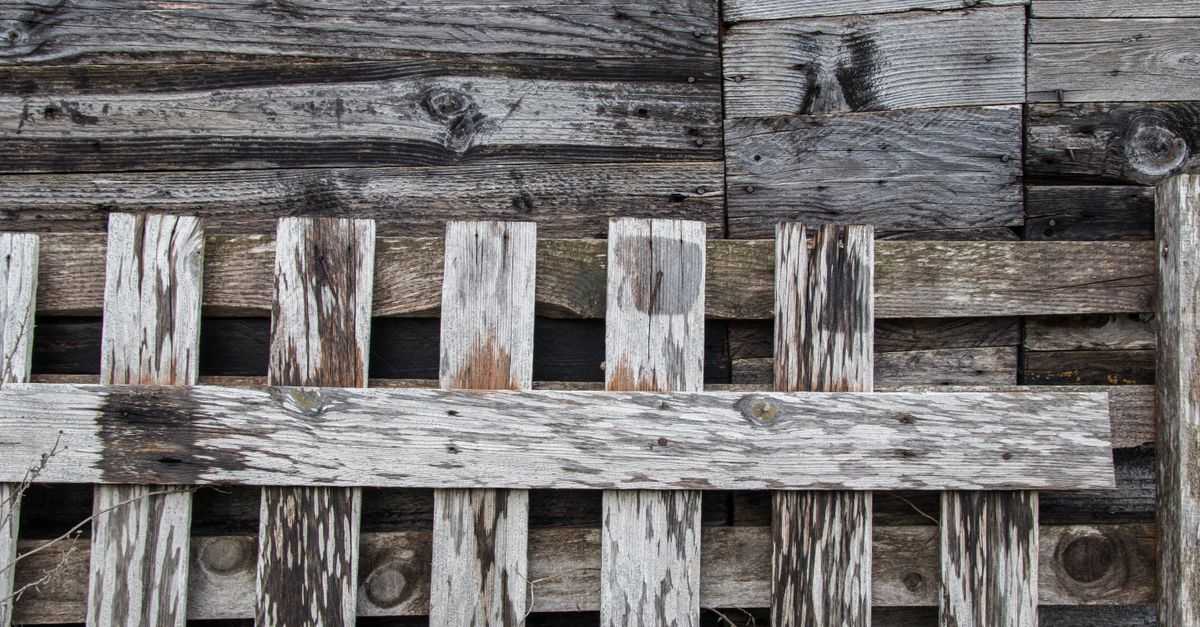 Common Missteps to Avoid During Timber Fence Installation