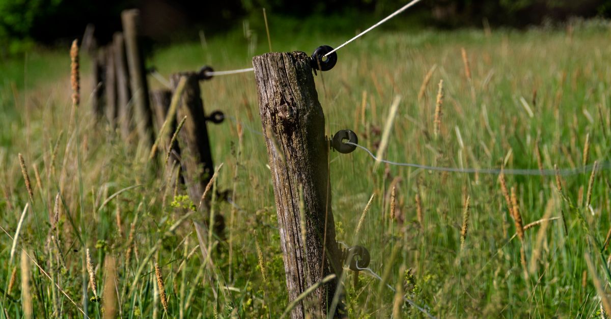 Common Myths About Hardwood Fencing Debunked