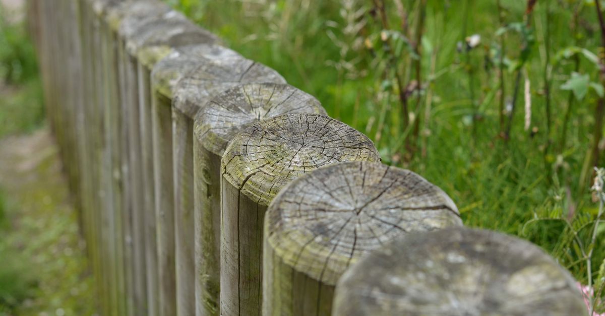 Common Styles of Paling Fencing in Australian Homes