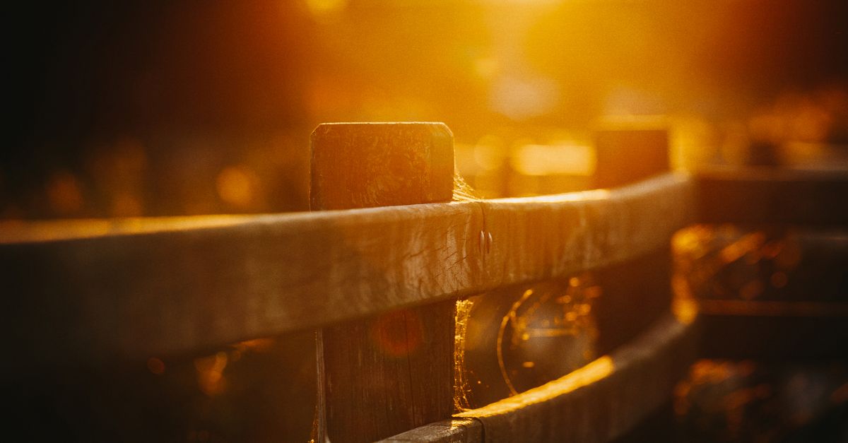 Cost Considerations for Installing Paling Fencing