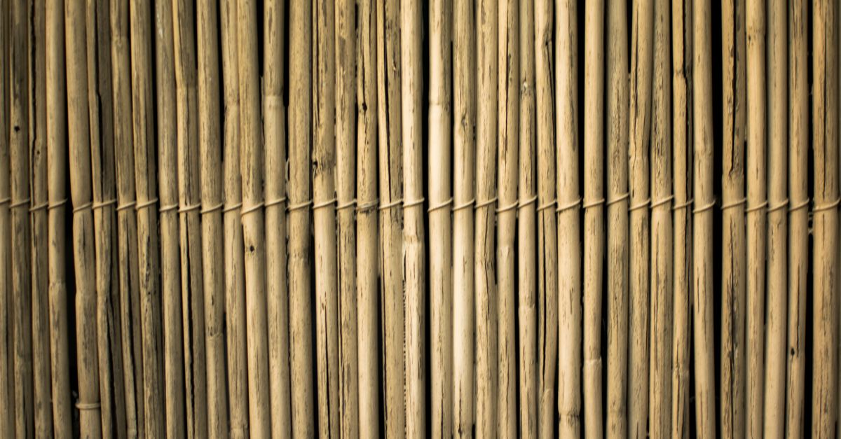 Cost-Effective Benefits of Softwood Fencing in Geelong