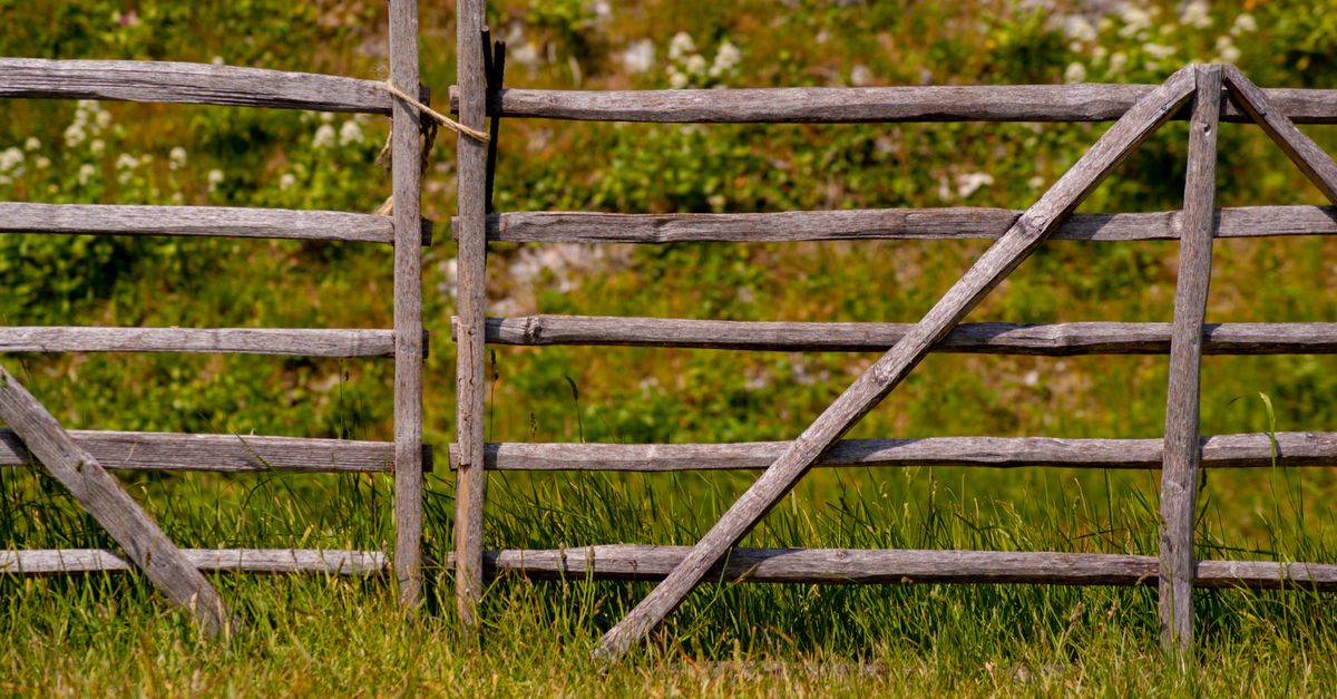 Cost-Effectiveness of Installing Colorbond Fencing in Geelong