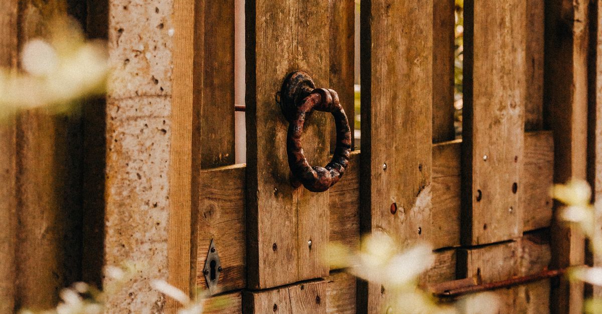 Crucial Tips for Maintaining Pest-Free Timber Fencing