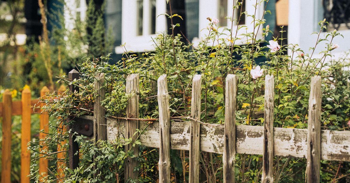 Environmentally Friendly Aspects of Colorbond Fencing