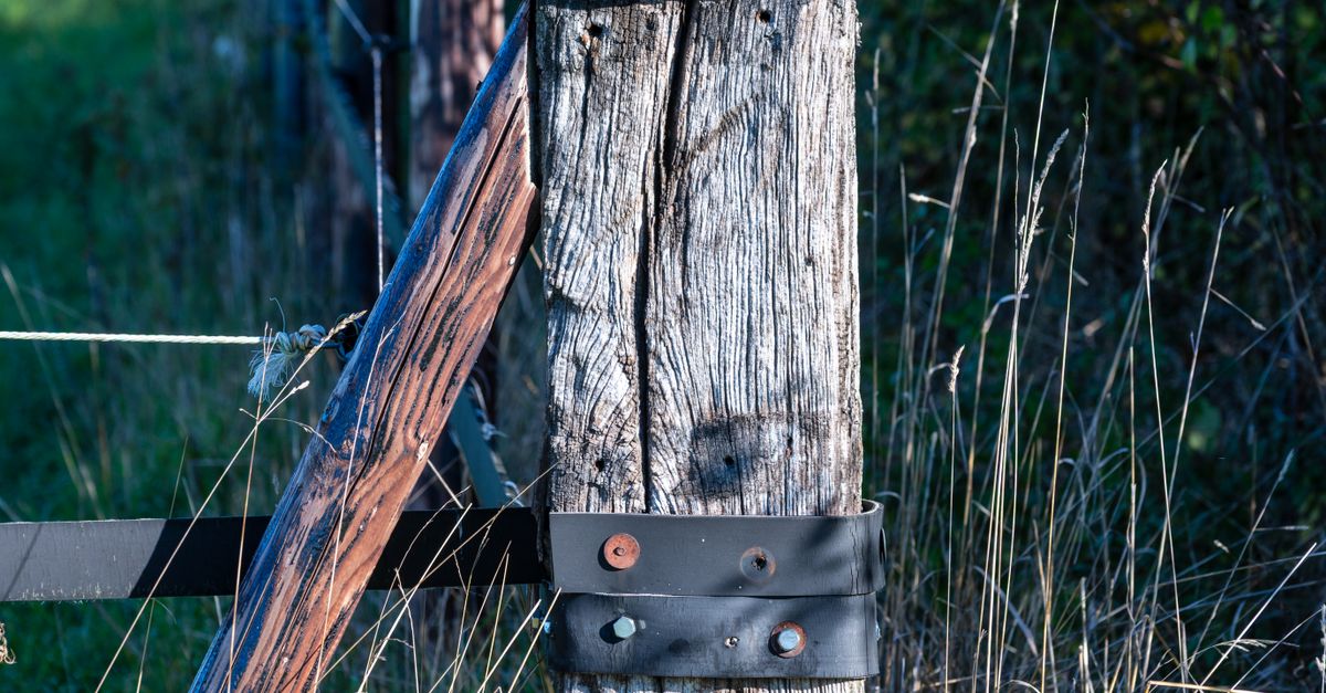 Essential Checklist for Timber Fence Maintenance Inspections