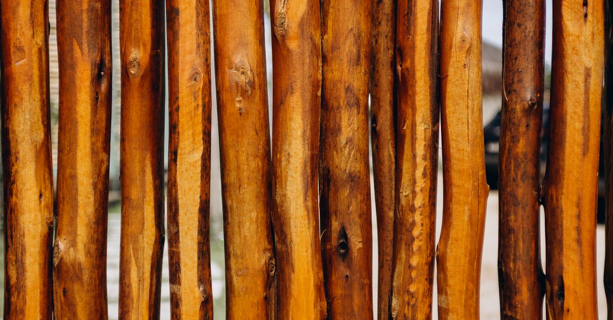 How to Choose the Right Pest Control Method for Timber Fencing