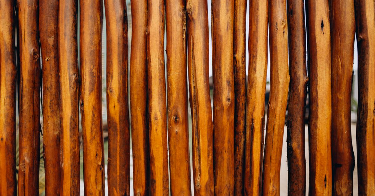 How to Choose the Right Timber for Paling Fencing