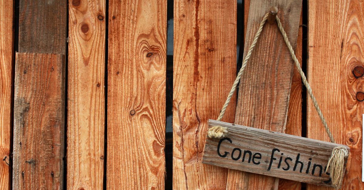 How to Choose the Right Timber for Your Lap Fencing