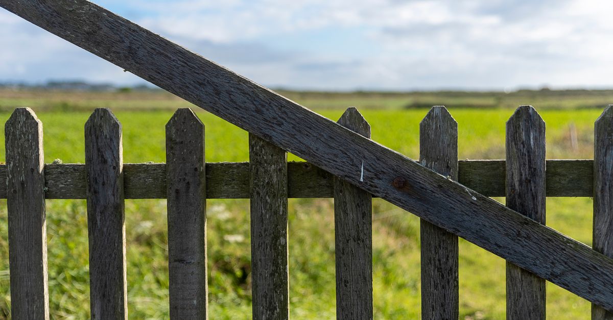 Importance of Regular Inspections for Timber Fencing Longevity