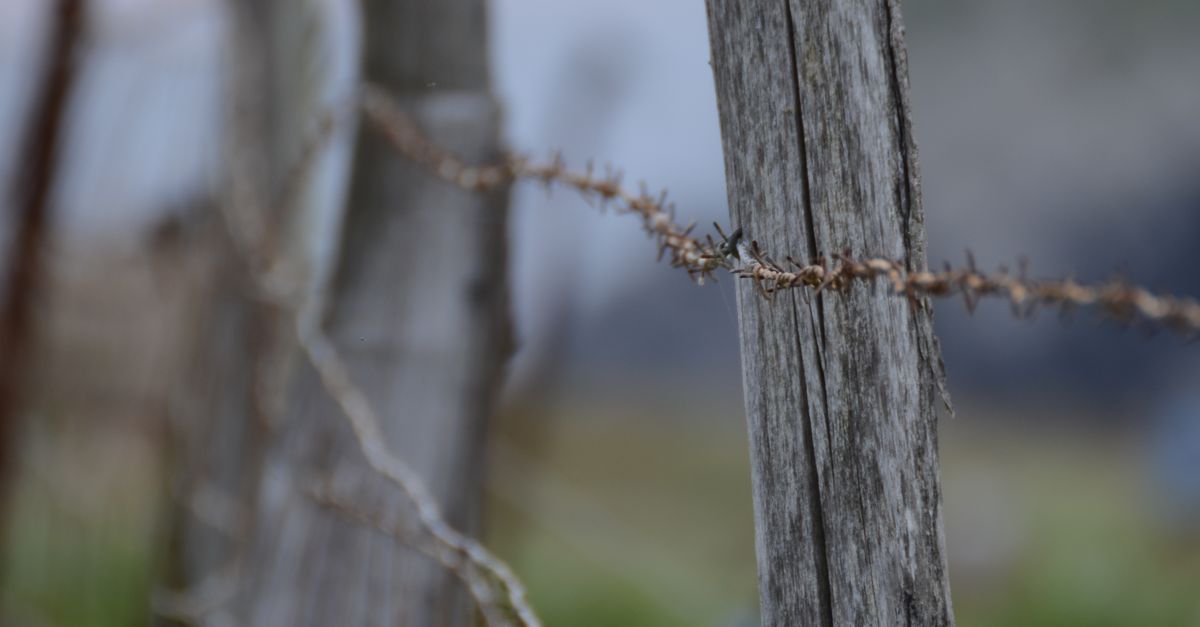 Navigating the Timber Fencing Installation Process in Geelong