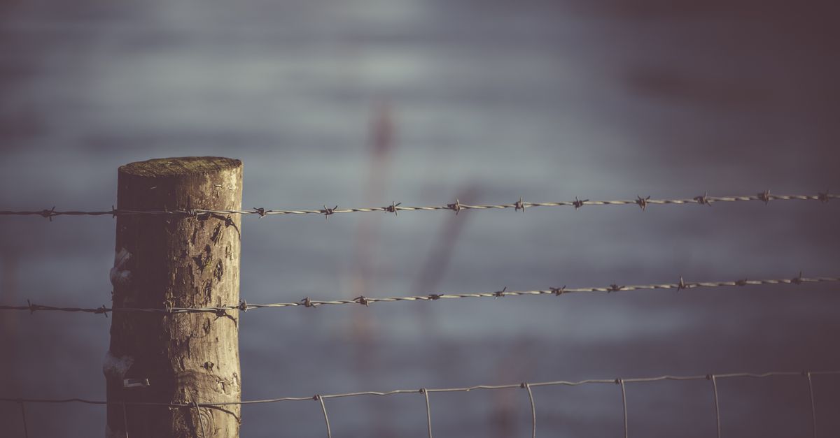 Seasonal Maintenance Tips for Damaged Fence Panels