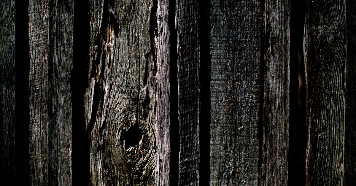 Softwood Fencing Regulations and Compliance in Geelong