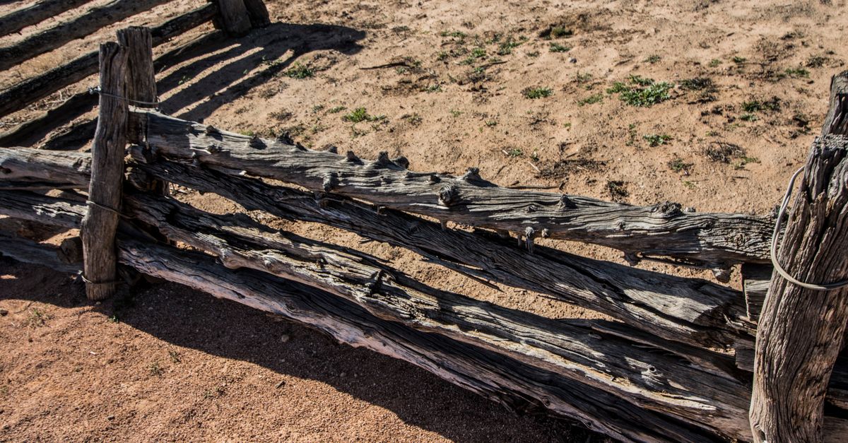 Techniques for Repairing Split Timber Fence Panels