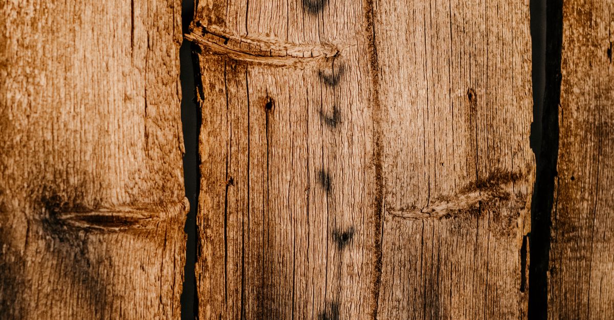 Tools and Materials Needed for Timber Fence Repairs