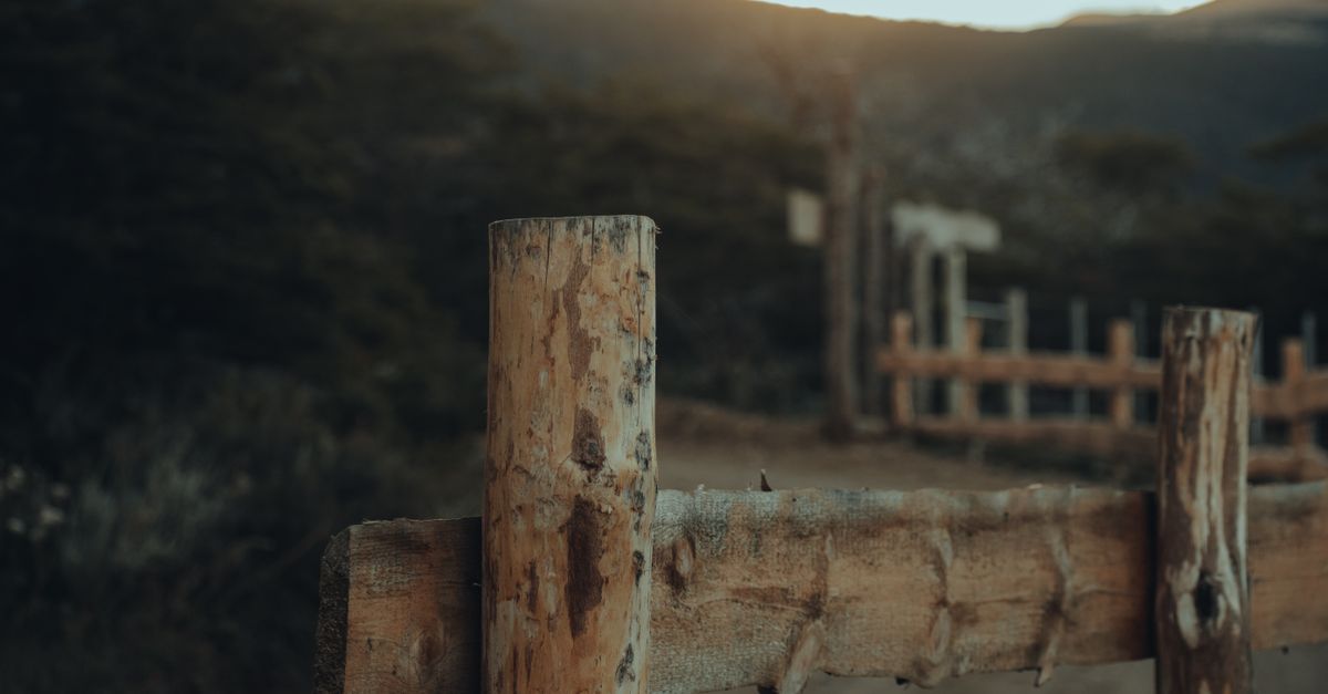 Tools for Timber Fencing: Cost-Effective Options