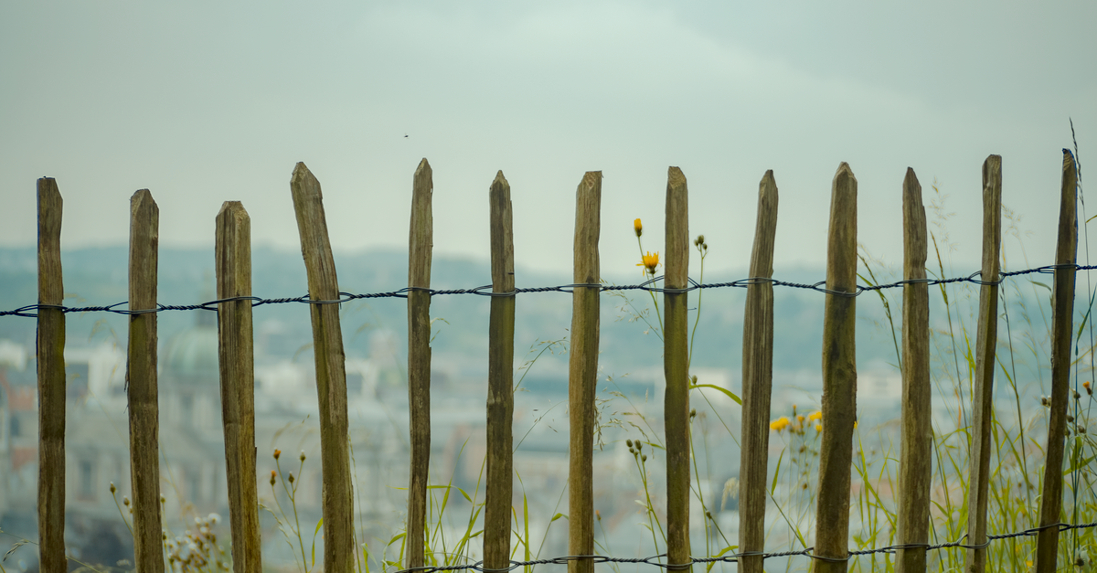 Top Design Ideas for Paling Fencing in Geelong