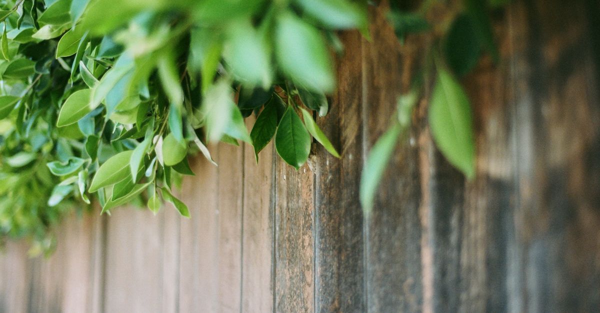 What to Expect During the Timber Fencing Installation Process